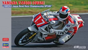 21718 0WA8 1989 All Japan