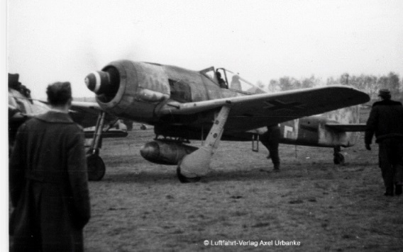 フォッケウルフ Fw190A-8 シュトゥルムボック | 株式会社 ハセガワ
