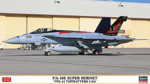 02309 FA-18E VFA-14 CAG_BOX