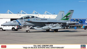 02351  EA-18G VAQ-135 BLACK 50th_BOX2