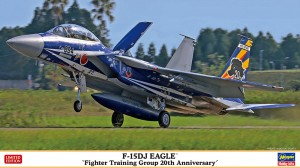 02362 F-15DJ イーグル 飛行教育航空隊 20周年記念_B