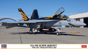 02365 FA-18E VFA-151 VIGILANTES CAG_BOX2