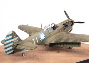 P-40N-3
