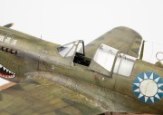 P-40N-8