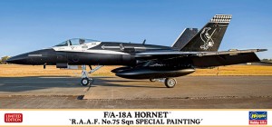 02411 FA-18A No.75 Sqn SP PAINTING_BOX