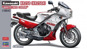 21745 Kawasaki KR250(250A) ホワイト)レッドカラー_BOX2