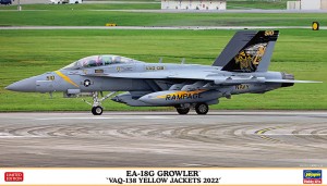 02461 EA18G GROWLER VAQ138 YELLOW 2022 box2